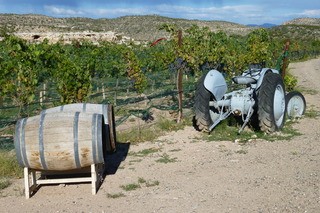 Filename=P1030922.JPG
Filesize=5061KiB
Dimensions=4320x2880
Date added=Sep 23, 2019 P1030922.JPG