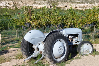 Filename=P1030923.JPG
Filesize=5187KiB
Dimensions=4320x2880
Date added=Sep 23, 2019 P1030923.JPG