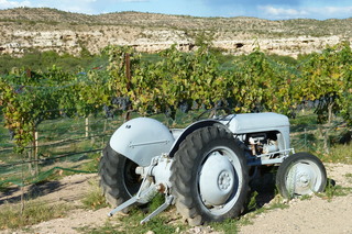 Filename=P1030924.JPG
Filesize=5198KiB
Dimensions=4320x2880
Date added=Sep 23, 2019 P1030924.JPG