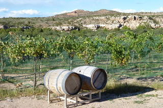 Filename=P1030925.JPG
Filesize=5083KiB
Dimensions=4320x2880
Date added=Sep 23, 2019 P1030925.JPG