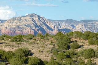 Filename=P1030928.JPG
Filesize=5278KiB
Dimensions=4320x2880
Date added=Sep 23, 2019 P1030928.JPG