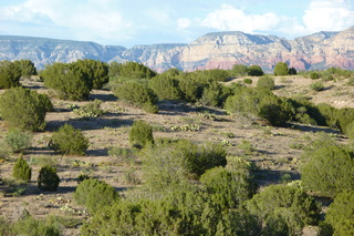 Filename=P1030929.JPG
Filesize=5012KiB
Dimensions=4320x2880
Date added=Sep 23, 2019 P1030929.JPG