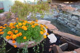 Filename=P1030932.JPG
Filesize=5434KiB
Dimensions=4320x2880
Date added=Sep 23, 2019 P1030932.JPG