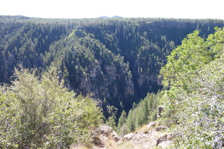 Filename=P1030958.JPG
Filesize=5138KiB
Dimensions=4320x2880
Date added=Sep 23, 2019 P1030958.JPG