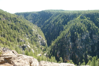 Filename=P1030960.JPG
Filesize=5479KiB
Dimensions=4320x2880
Date added=Sep 23, 2019 P1030960.JPG