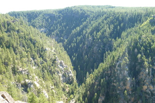 Filename=P1030961.JPG
Filesize=5358KiB
Dimensions=4320x2880
Date added=Sep 23, 2019 P1030961.JPG