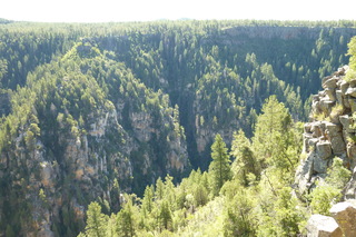 Filename=P1030966.JPG
Filesize=4991KiB
Dimensions=4320x2880
Date added=Sep 23, 2019 P1030966.JPG