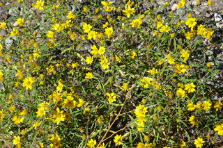 Filename=P1030967.JPG
Filesize=5386KiB
Dimensions=4320x2880
Date added=Sep 23, 2019 P1030967.JPG