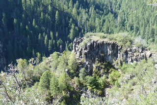 Filename=P1030974.JPG
Filesize=5227KiB
Dimensions=4320x2880
Date added=Sep 23, 2019 P1030974.JPG