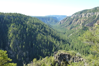 Filename=P1030975.JPG
Filesize=5473KiB
Dimensions=4320x2880
Date added=Sep 23, 2019 P1030975.JPG