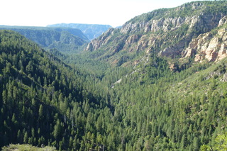 Filename=P1030976.JPG
Filesize=5052KiB
Dimensions=4320x2880
Date added=Sep 23, 2019 P1030976.JPG