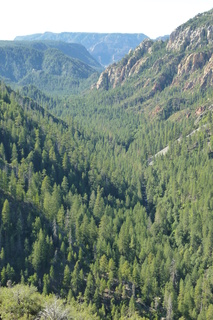 Filename=P1030982.JPG
Filesize=4655KiB
Dimensions=2880x4320
Date added=Sep 23, 2019 P1030982.JPG