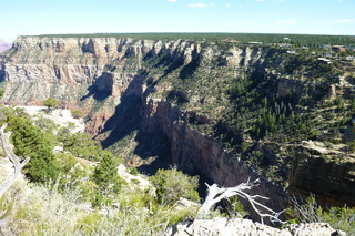 Filename=P1040033.JPG
Filesize=4983KiB
Dimensions=4320x2880
Date added=Sep 23, 2019 P1040033.JPG