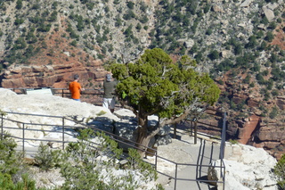 Filename=P1040034.JPG
Filesize=5381KiB
Dimensions=4320x2880
Date added=Sep 23, 2019 P1040034.JPG