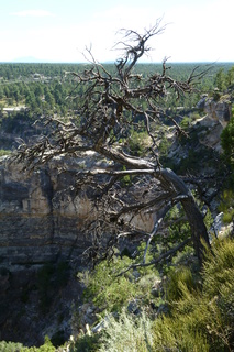 Filename=P1040036.JPG
Filesize=4645KiB
Dimensions=2880x4320
Date added=Sep 23, 2019 P1040036.JPG