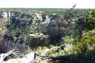 Filename=P1040037.JPG
Filesize=5144KiB
Dimensions=4320x2880
Date added=Sep 23, 2019 P1040037.JPG