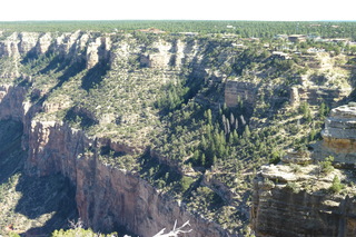 Filename=P1040040.JPG
Filesize=5029KiB
Dimensions=4320x2880
Date added=Sep 23, 2019 P1040040.JPG