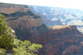 Filename=P1040082.JPG
Filesize=5025KiB
Dimensions=4320x2880
Date added=Sep 23, 2019 P1040082.JPG