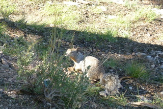 Filename=P1040097.JPG
Filesize=5651KiB
Dimensions=4320x2880
Date added=Sep 23, 2019 P1040097.JPG