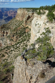 Filename=P1040163.JPG
Filesize=4436KiB
Dimensions=2880x4320
Date added=Sep 23, 2019 P1040163.JPG