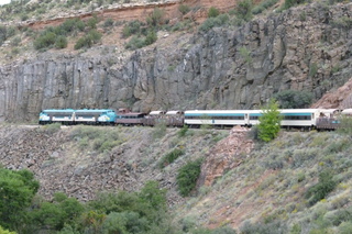 Filename=P1040608.JPG
Filesize=5305KiB
Dimensions=4320x2880
Date added=Sep 23, 2019 P1040608.JPG