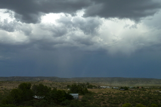 Filename=P1040648.JPG
Filesize=4834KiB
Dimensions=4320x2880
Date added=Sep 23, 2019 P1040648.JPG