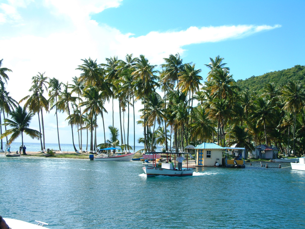 St_Lucia_4_097.jpg