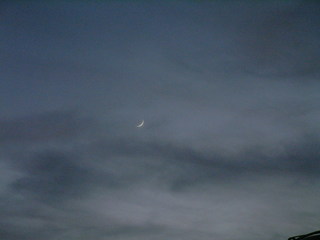 Filename=Antigua_2_009.jpg
Filesize=1114KiB
Dimensions=2048x1536
Date added=Sep 15, 2019 Antigua_2_009.jpg