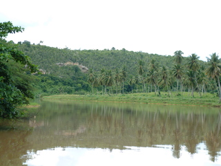 Dominican_Republic_2_031.jpg
