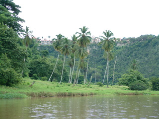 Dominican_Republic_2_037.jpg