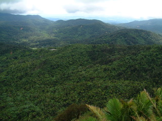 Puerto_Rico_044.jpg