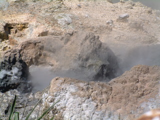 Filename=St_Lucia_2_038.jpg
Filesize=1259KiB
Dimensions=2048x1536
Date added=Sep 15, 2019 St_Lucia_2_038.jpg