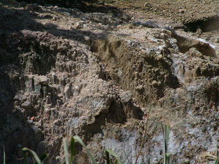 Filename=St_Lucia_2_047.jpg
Filesize=1226KiB
Dimensions=2048x1536
Date added=Sep 15, 2019 St_Lucia_2_047.jpg