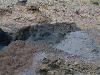 Filename=St_Lucia_2_051.jpg
Filesize=1258KiB
Dimensions=2048x1536
Date added=Sep 15, 2019 St_Lucia_2_051.jpg