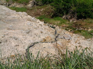 Filename=St_Lucia_2_059.jpg
Filesize=1219KiB
Dimensions=2048x1536
Date added=Sep 15, 2019 St_Lucia_2_059.jpg