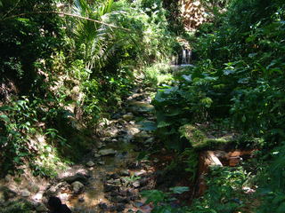 Filename=St_Lucia_2_060.jpg
Filesize=1172KiB
Dimensions=2048x1536
Date added=Sep 15, 2019 St_Lucia_2_060.jpg