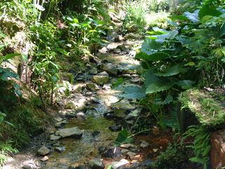 Filename=St_Lucia_2_064.jpg
Filesize=1201KiB
Dimensions=2048x1536
Date added=Sep 15, 2019 St_Lucia_2_064.jpg