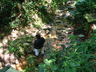 Filename=St_Lucia_2_065.jpg
Filesize=1199KiB
Dimensions=2048x1536
Date added=Sep 15, 2019 St_Lucia_2_065.jpg