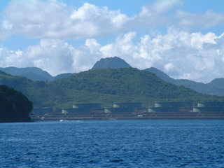 Filename=St_Lucia_3_011.jpg
Filesize=1245KiB
Dimensions=2048x1536
Date added=Sep 15, 2019 St_Lucia_3_011.jpg