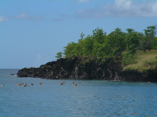 Filename=St_Lucia_4_073.jpg
Filesize=1246KiB
Dimensions=2048x1536
Date added=Sep 15, 2019 St_Lucia_4_073.jpg