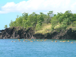 Filename=St_Lucia_4_081.jpg
Filesize=1330KiB
Dimensions=2048x1536
Date added=Sep 15, 2019 St_Lucia_4_081.jpg