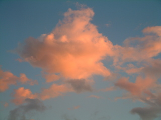 Filename=St_Lucia_5_024.jpg
Filesize=1191KiB
Dimensions=2048x1536
Date added=Sep 15, 2019 St_Lucia_5_024.jpg