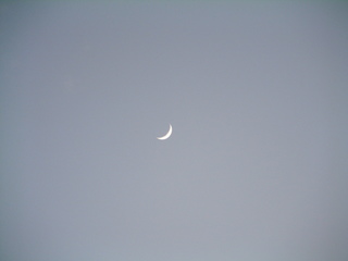 Filename=St_Lucia_5_046.jpg
Filesize=1177KiB
Dimensions=2048x1536
Date added=Sep 15, 2019 St_Lucia_5_046.jpg