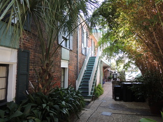 Filename=DSCN4279.JPG
Filesize=5356KiB
Dimensions=4608x3456
Date added=Sep 23, 2019 DSCN4279.JPG