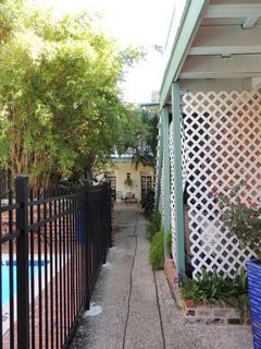 Filename=DSCN4282.JPG
Filesize=5277KiB
Dimensions=3456x4608
Date added=Sep 23, 2019 DSCN4282.JPG