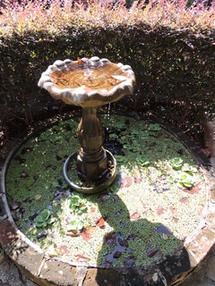 Filename=DSCN4286.JPG
Filesize=5186KiB
Dimensions=3456x4608
Date added=Sep 23, 2019 DSCN4286.JPG