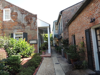 Filename=DSCN4291.JPG
Filesize=5565KiB
Dimensions=4608x3456
Date added=Sep 23, 2019 DSCN4291.JPG