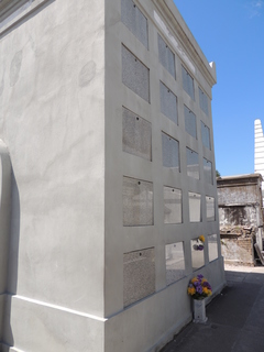 Filename=DSCN4747.JPG
Filesize=5028KiB
Dimensions=3456x4608
Date added=Sep 24, 2019 DSCN4747.JPG