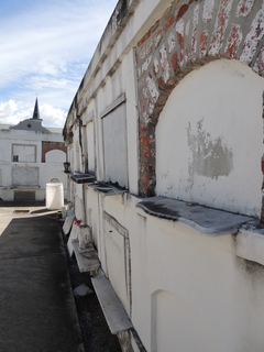 Filename=DSCN4752.JPG
Filesize=4945KiB
Dimensions=3456x4608
Date added=Sep 24, 2019 DSCN4752.JPG