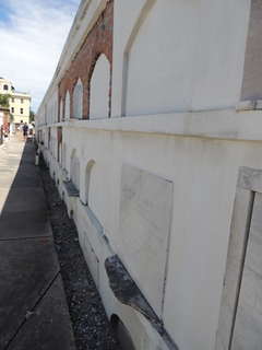 Filename=DSCN4753.JPG
Filesize=4670KiB
Dimensions=3456x4608
Date added=Sep 24, 2019 DSCN4753.JPG